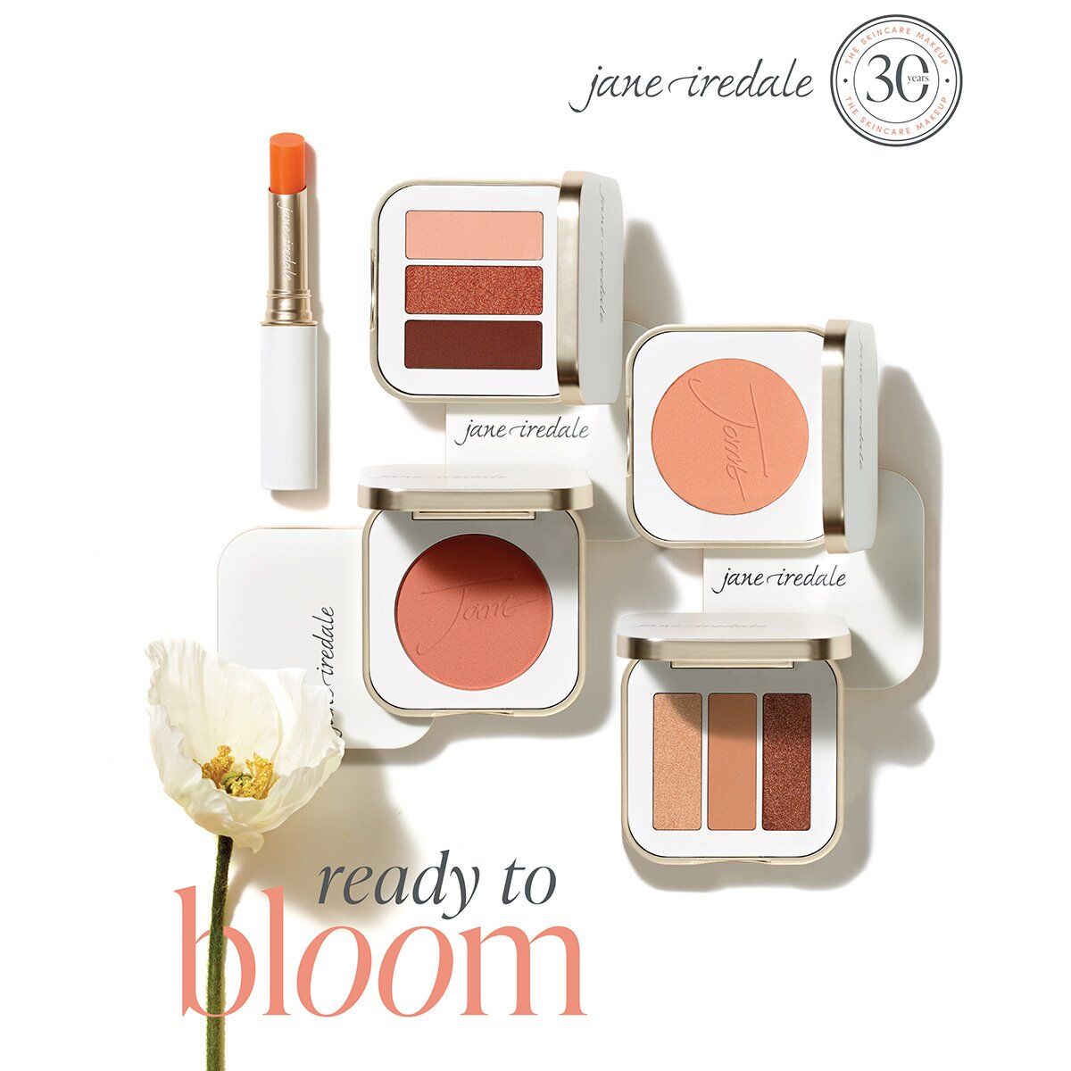 NEW ready to bloom Collection
